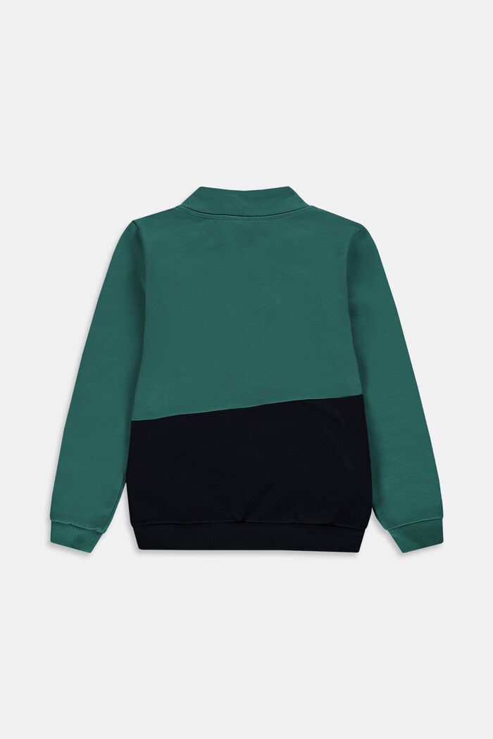 Sweatshirt in the style of a cardigan