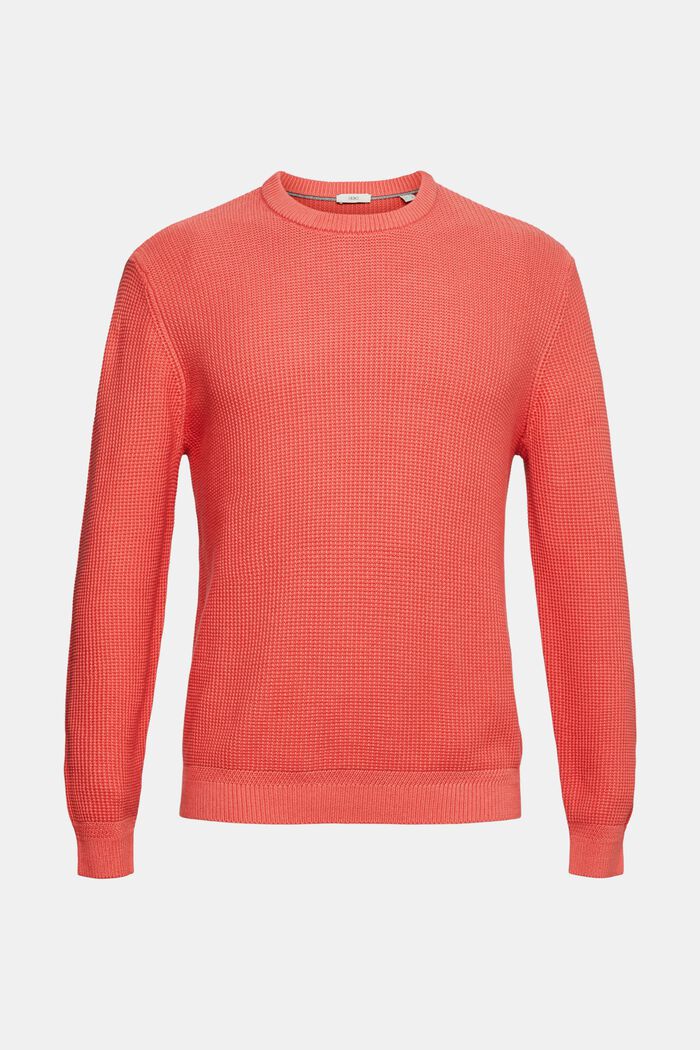 Pure cotton jumper, CORAL, detail image number 2