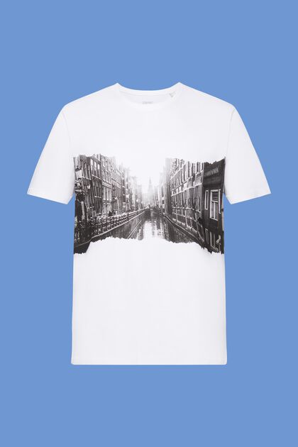 Crewneck t-shirt with print, 100% cotton
