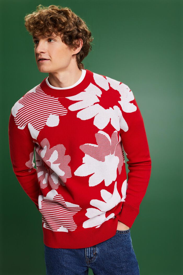 Jacquard Cotton Sweater, DARK RED, detail image number 4