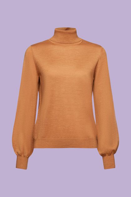 Wool Turtleneck Sweater
