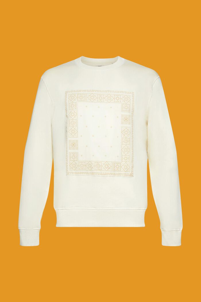 Sweatshirt with front print, ICE, detail image number 5