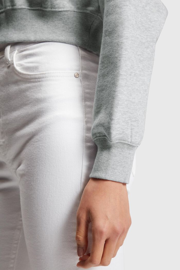 Color Dolphin Cropped Hoodie, LIGHT GREY, detail image number 3