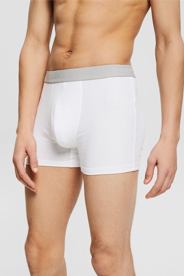 Triple pack: Hipster shorts with a logo waistband