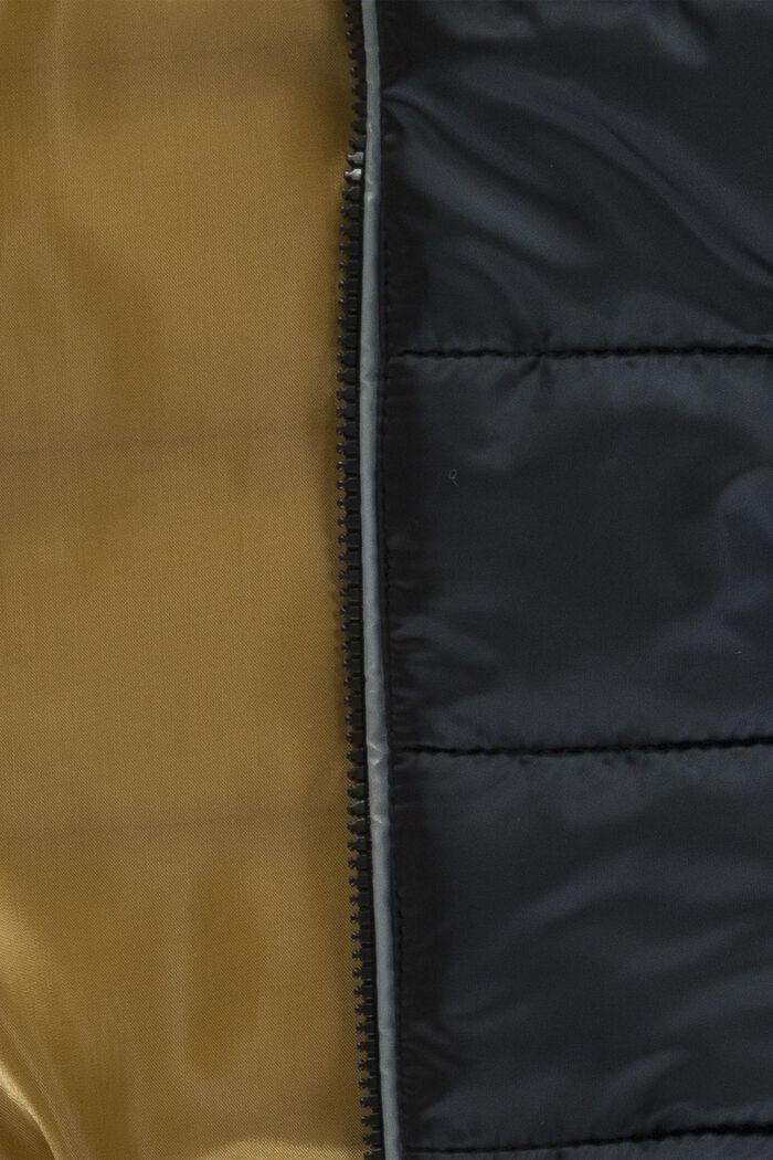 Padded quilted jacket with a hood, BLACK, detail image number 2