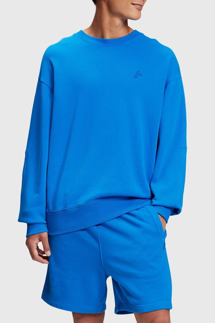 Relaxed fit Sweatshirt, BLUE, detail image number 0