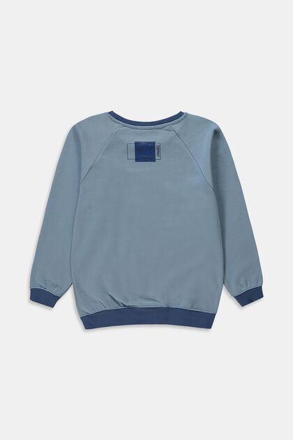 Sweatshirt in 100% cotton