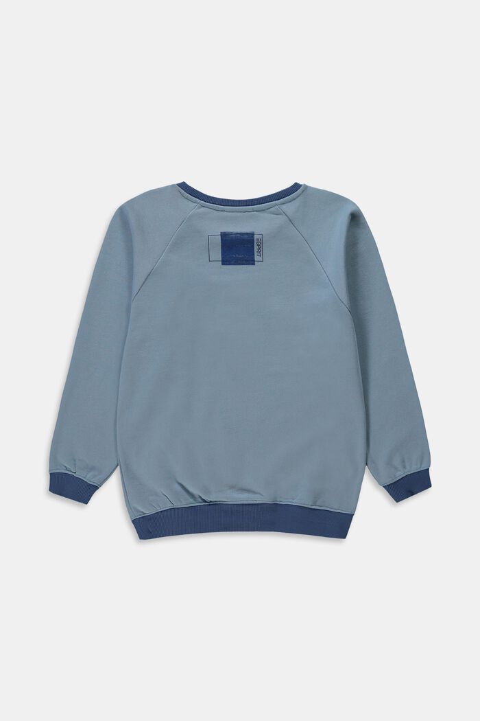 Sweatshirt in 100% cotton, LIGHT BLUE, detail image number 1