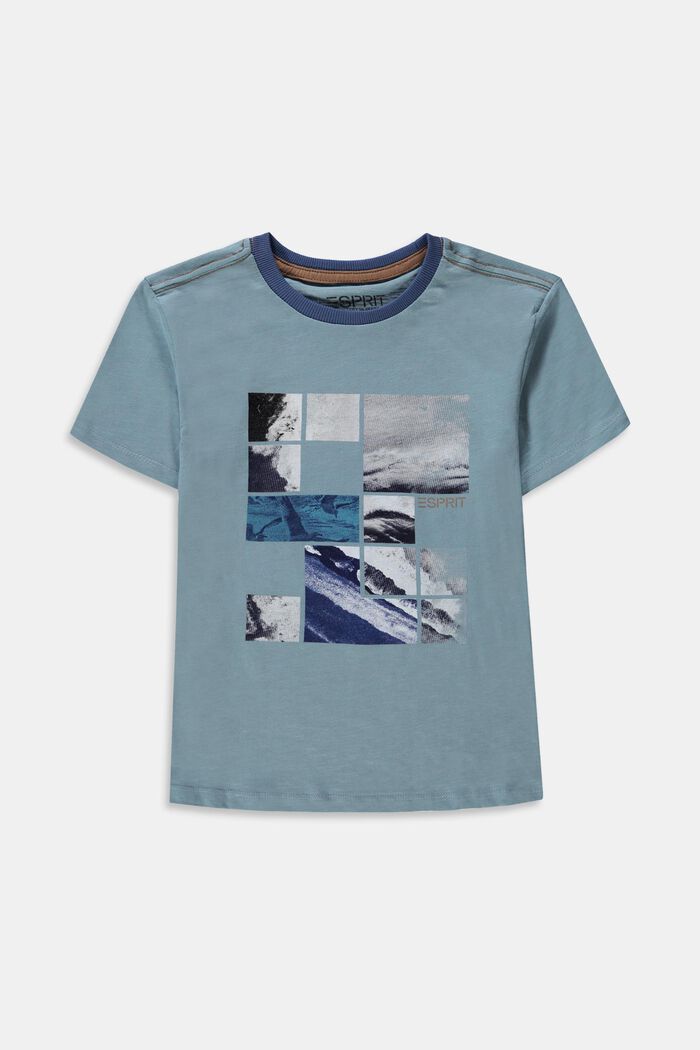 Printed T-shirt made of 100% cotton, LIGHT BLUE, detail image number 0