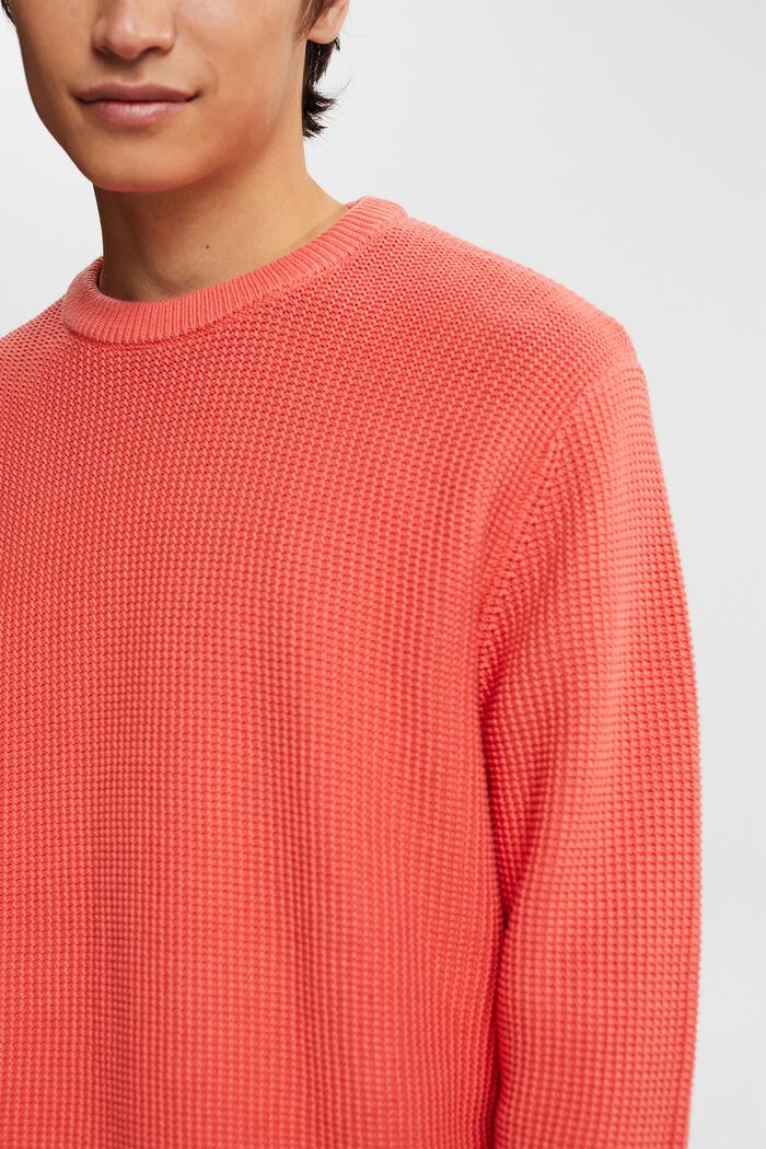 Pure cotton jumper, CORAL, detail image number 0