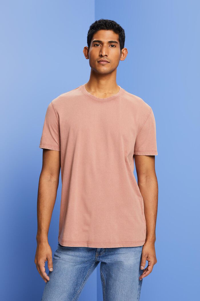 Garment-dyed jersey t-shirt, 100% cotton, DARK OLD PINK, detail image number 0