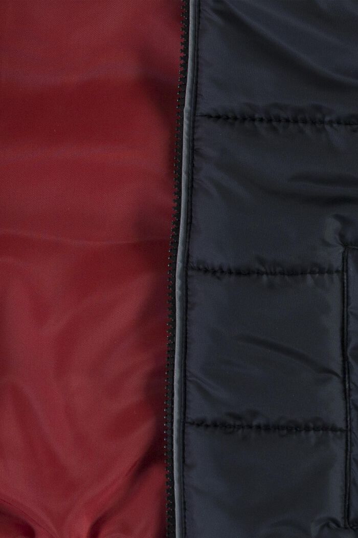 Quilted jacket with a hood, BLACK, detail image number 2
