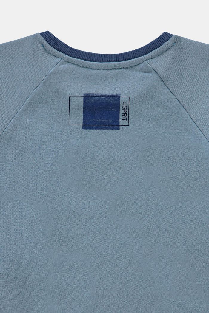 Sweatshirt in 100% cotton, LIGHT BLUE, detail image number 2