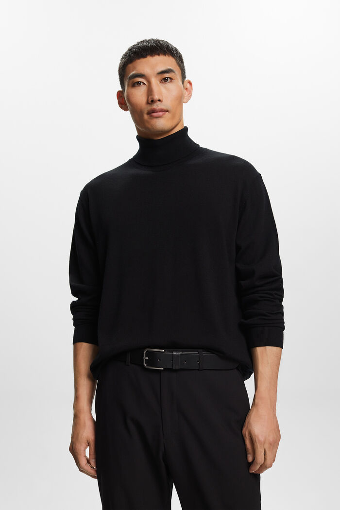 Merino Wool Turtleneck Sweater, BLACK, detail image number 0
