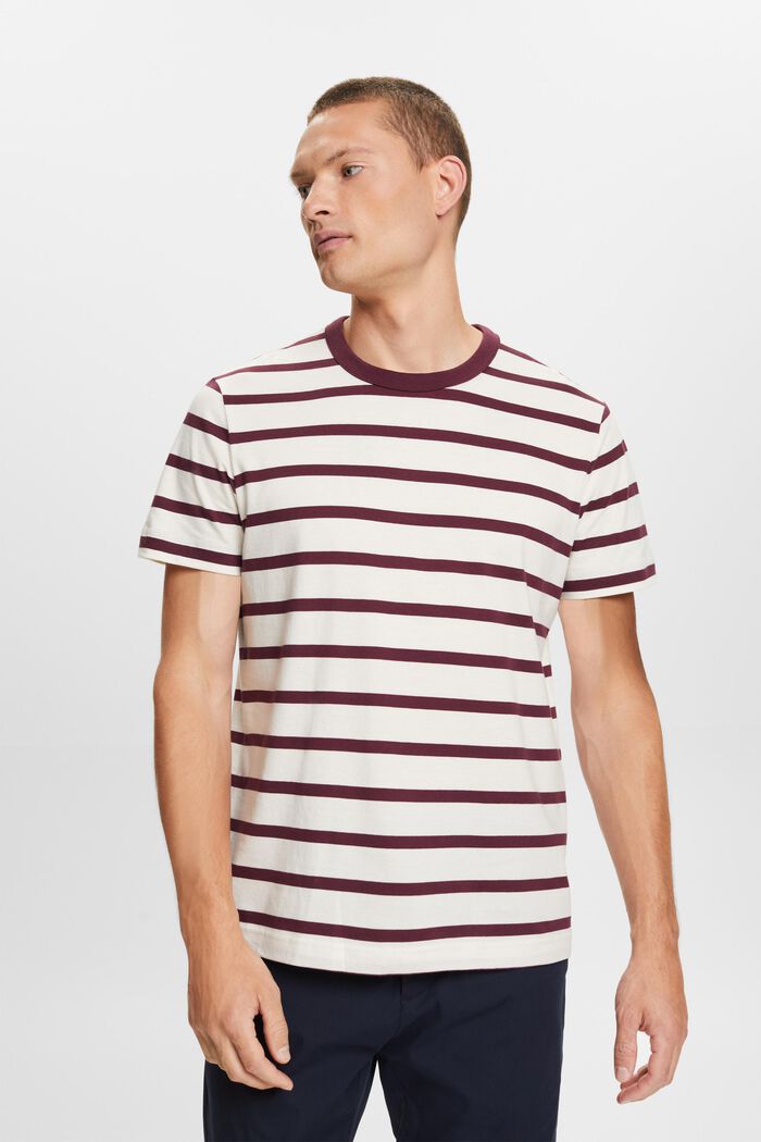 Striped Cotton Jersey T-Shirt, AUBERGINE, detail image number 0