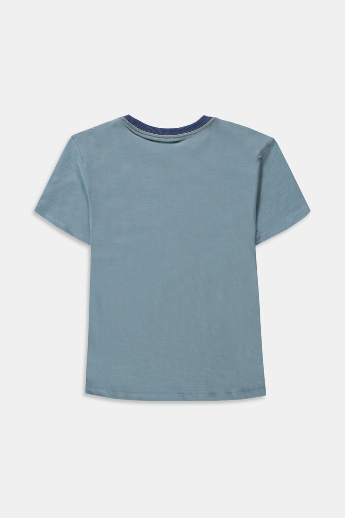 Printed T-shirt made of 100% cotton, LIGHT BLUE, detail image number 1