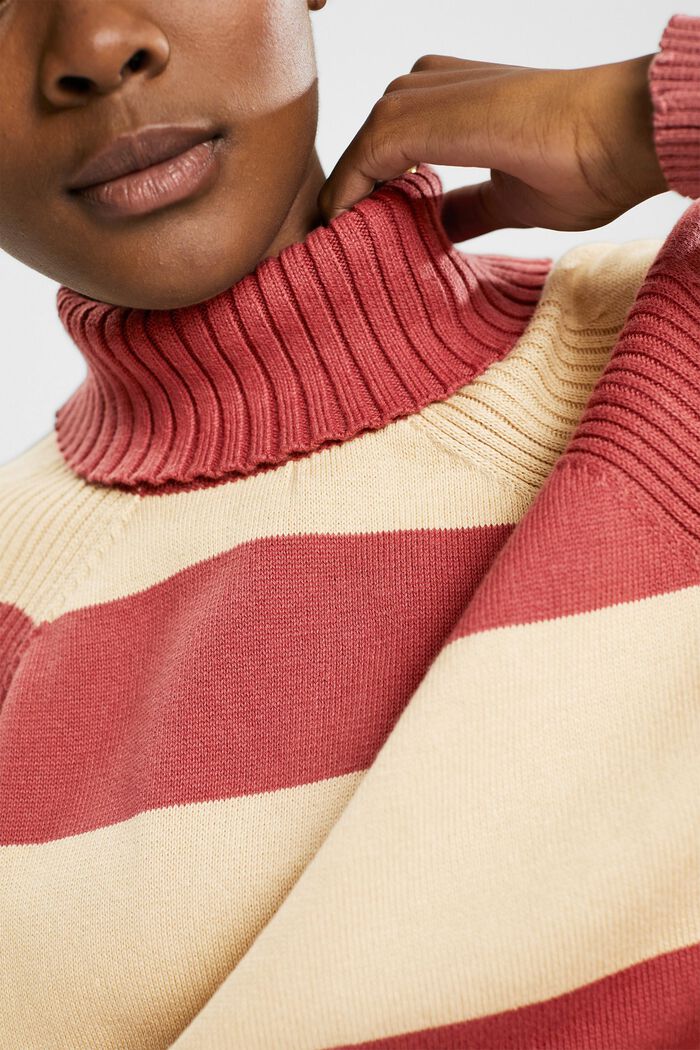 Polo neck jumper, 100% cotton, TERRACOTTA, detail image number 2