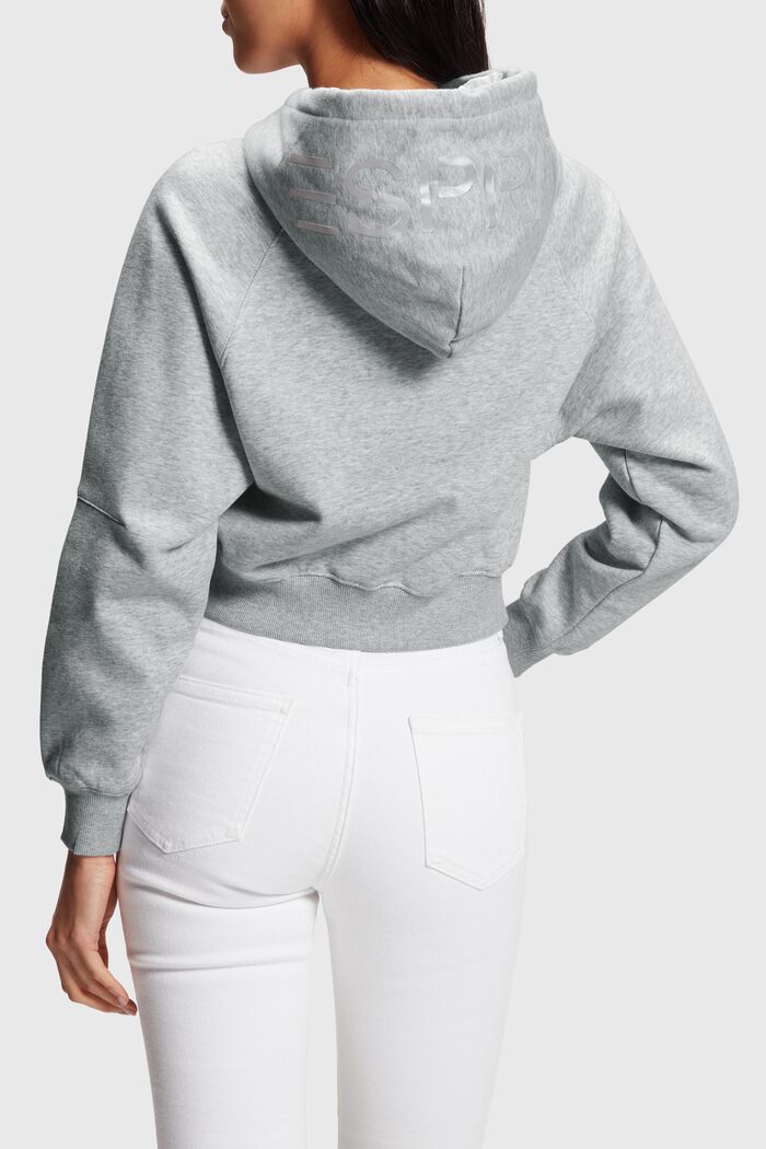Color Dolphin Cropped Hoodie, LIGHT GREY, detail image number 1