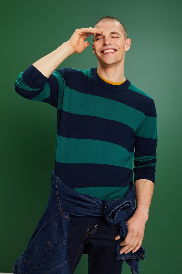 Wool Seamless Striped Pullover, DARK BLUE, detail image number 5