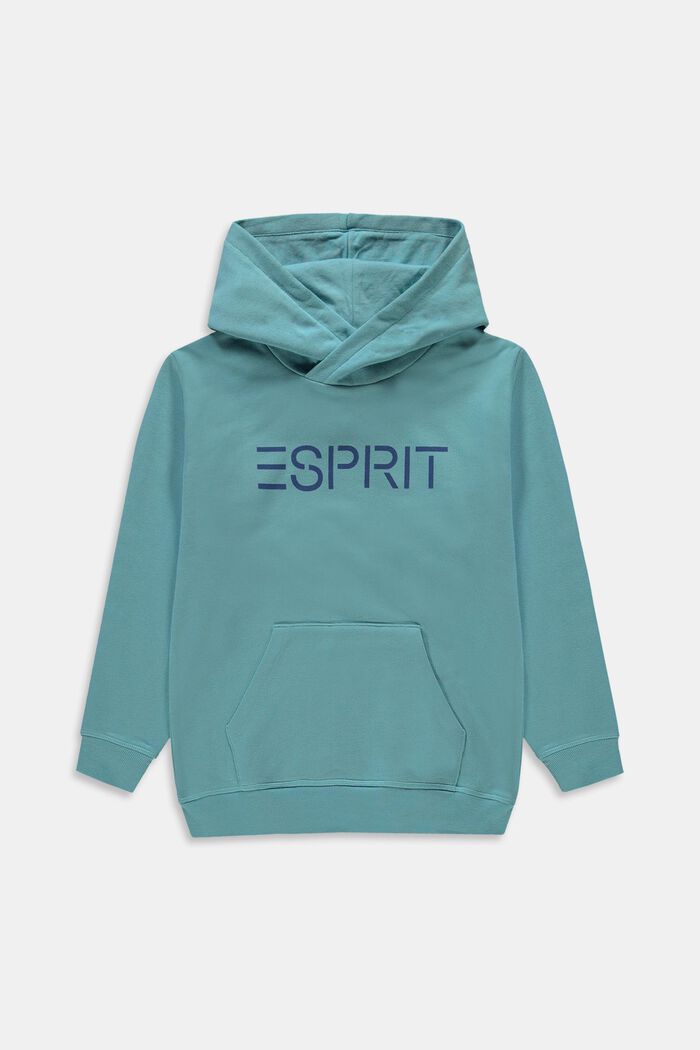 Hooded jumper with a logo print