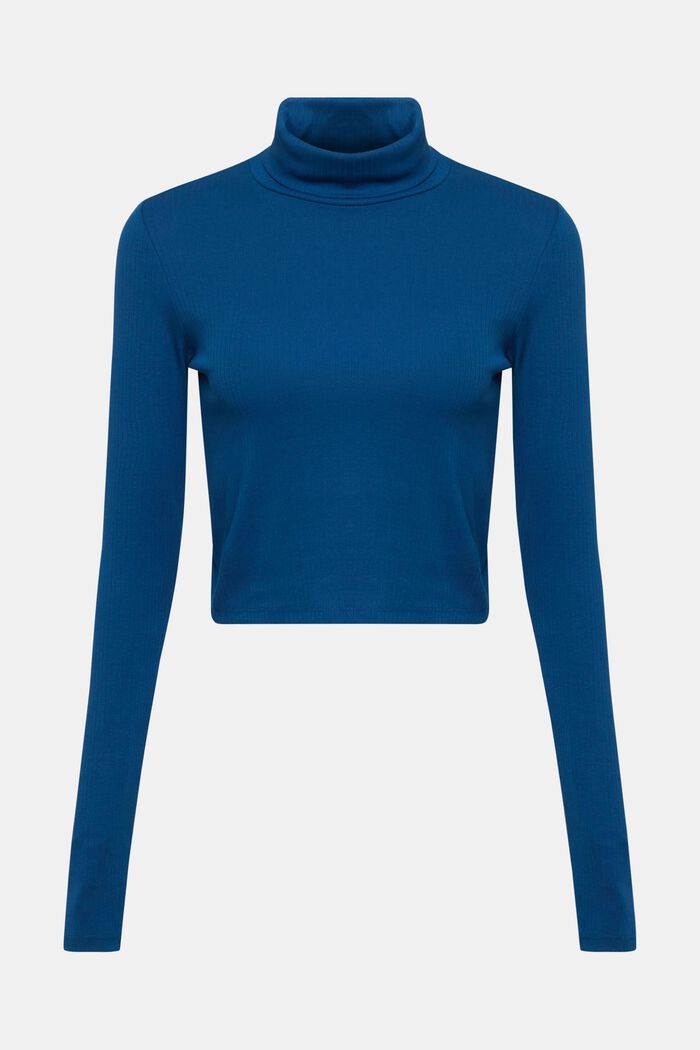 Cropped roll neck long sleeve top