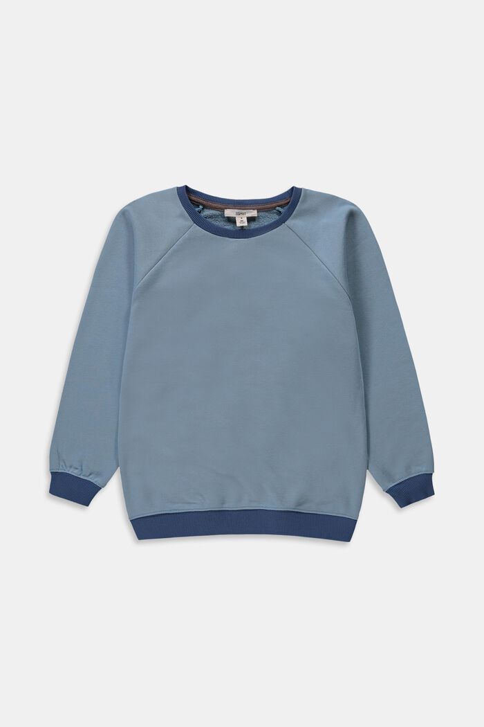 Sweatshirt in 100% cotton, LIGHT BLUE, detail image number 0