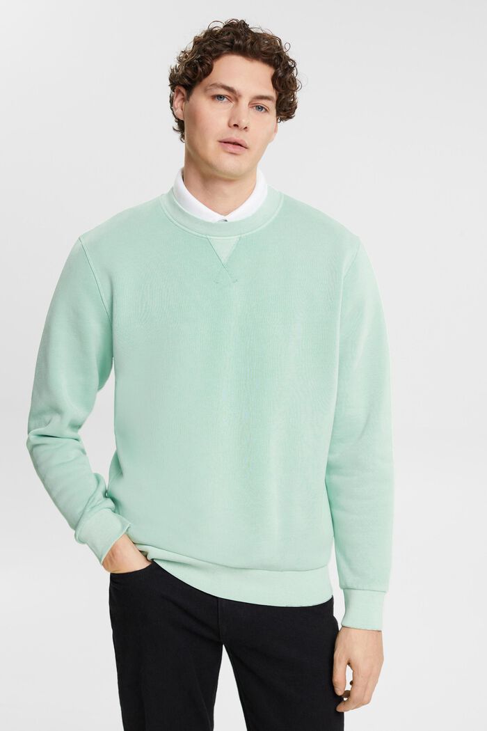 Plain regular fit sweatshirt, LIGHT AQUA GREEN, detail image number 0