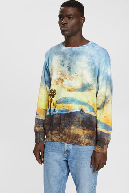 ESPRIT - All-over landscape digital print sweater at our online shop | Longpullover