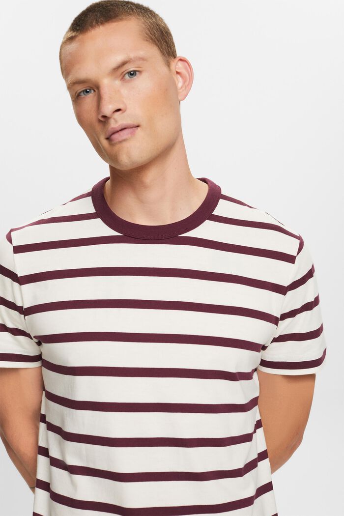 Striped Cotton Jersey T-Shirt, AUBERGINE, detail image number 4