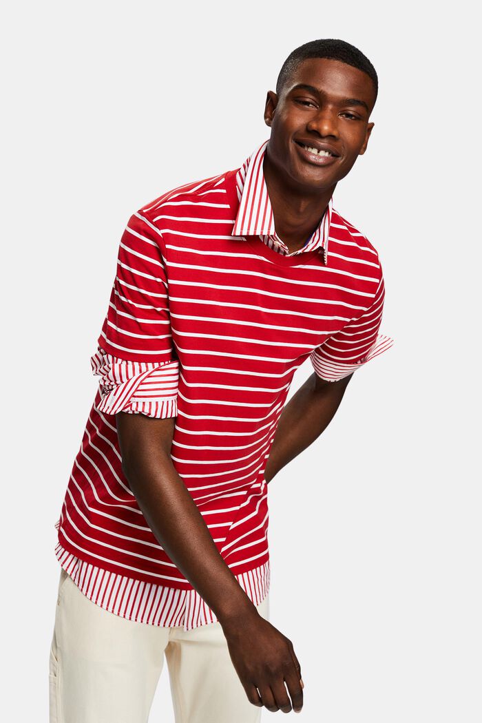 Striped Cotton Jersey T-Shirt, DARK RED, detail image number 5