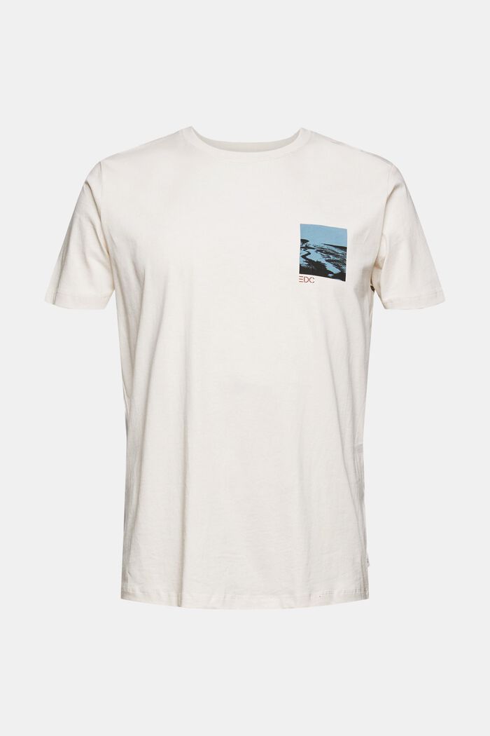 T-shirt with a print on the front and back