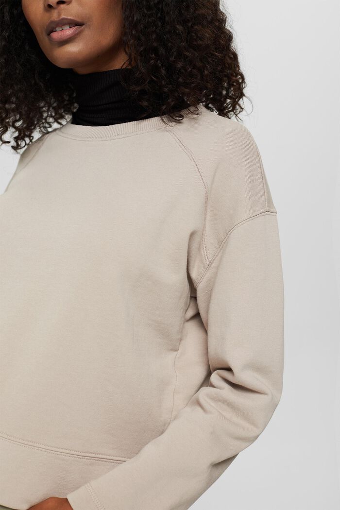 Pure cotton sweatshirt, LIGHT TAUPE, detail image number 0