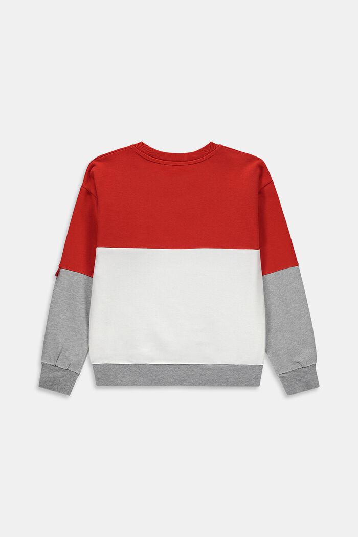 Sweatshirt with a reflective print