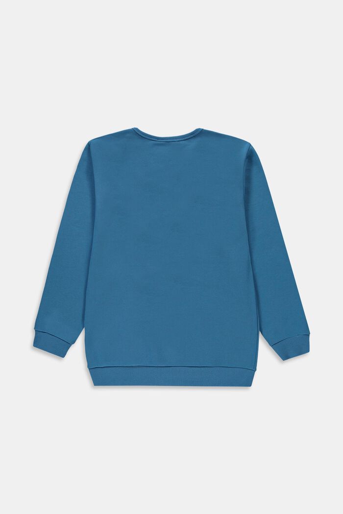 Sweatshirt with a zip pocket, TURQUOISE, detail image number 1