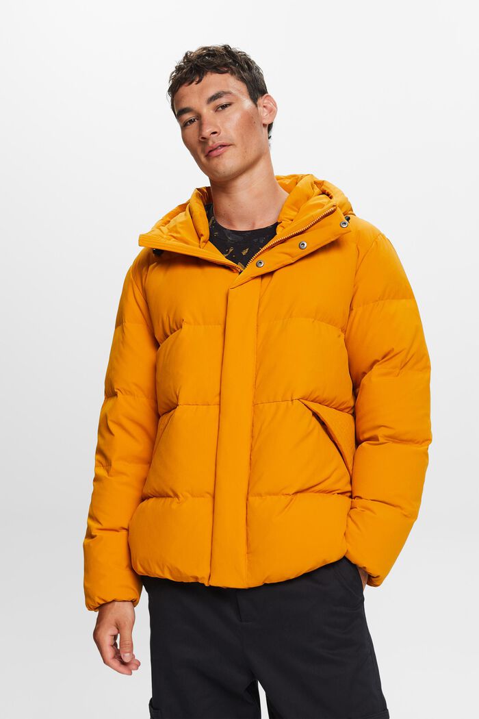 Hooded Down Jacket, HONEY YELLOW, detail image number 1